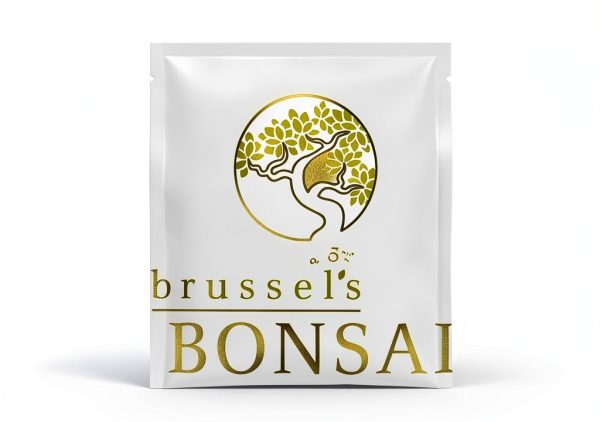 Brussels Bonsai Gardenia Ceramic Pot Outdoor Beginner-6