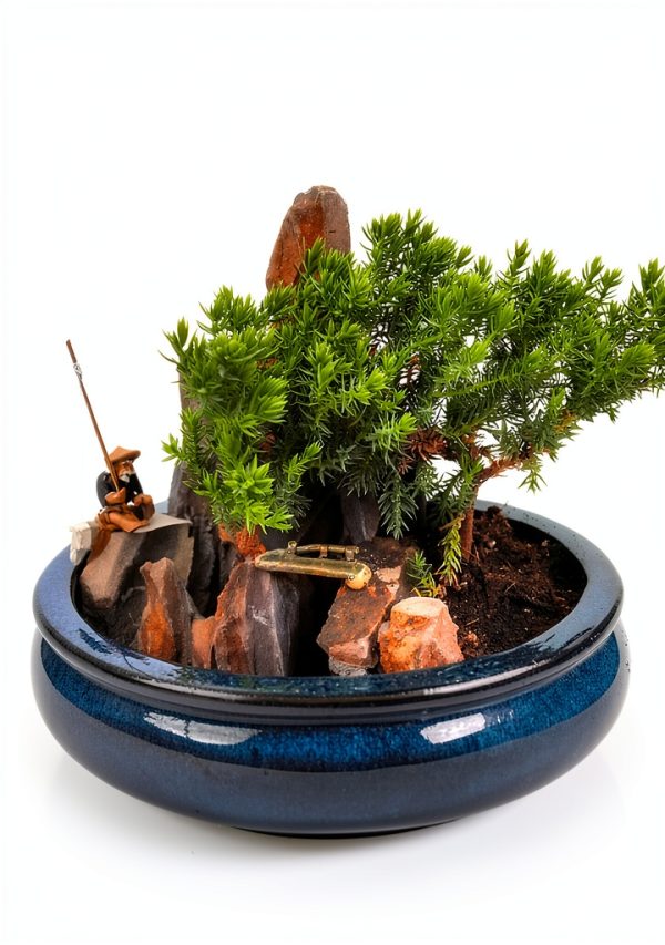 Indoor Bonsai jmbamboo Live Plant Ceramic Pot Training-0