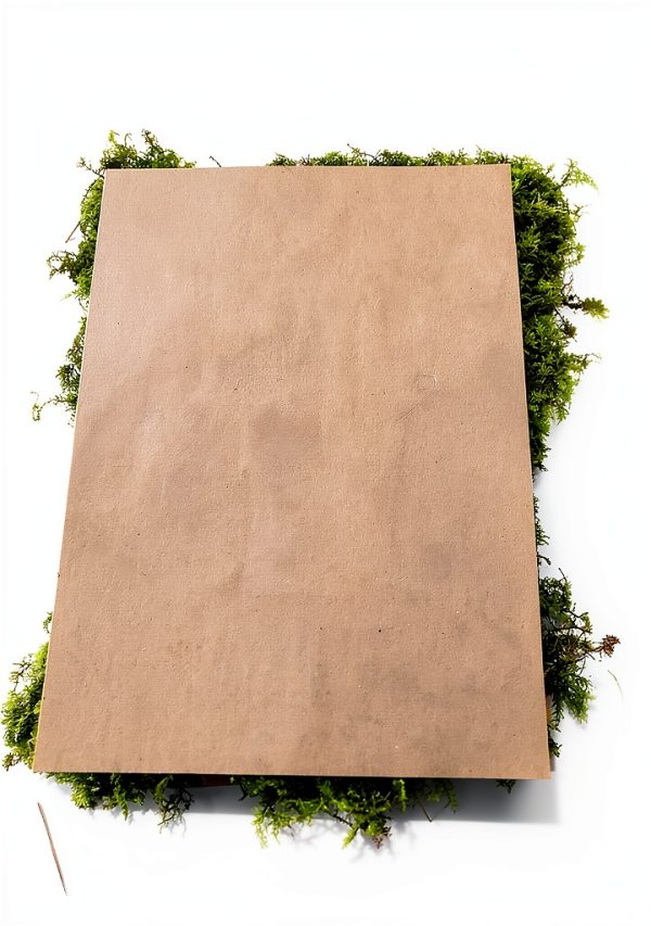 Indoor Bonsai GARDENS OY VEY Green Yellow Air Purification-6