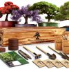 LUOJIBIE Bonsai Kit Indoor Growing Complete Starter Set-0
