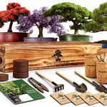 LUOJIBIE Bonsai Kit Indoor Growing Complete Starter Set-0