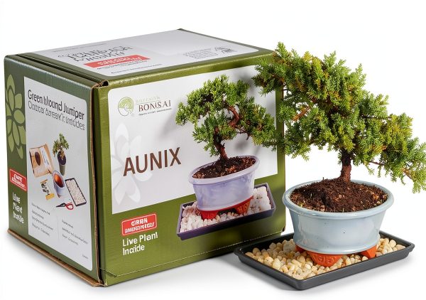 Juniper Bonsai Kit Brussel's Bonsai Beginner Friendly Blue-0