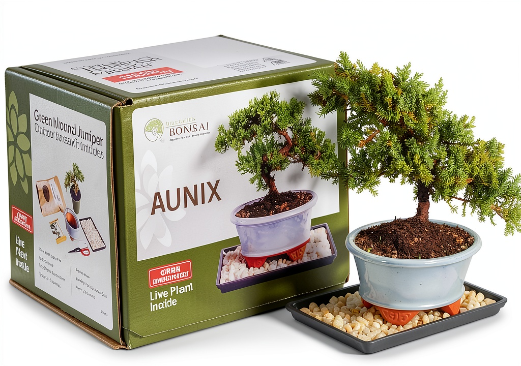 'Juniper Bonsai Kit displayed in an outdoor garden setting'