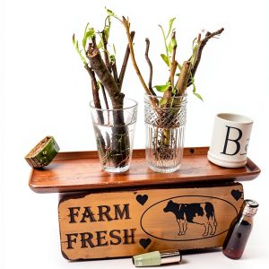 CZ Grain Indoor Bonsai Natural Material Summer Blooming-0