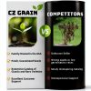 CZ Grain Bonsai Willow Fast Growing Indoor Plant Kit-7