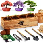LUOJIBIE Bonsai Tree Kit Wood-0