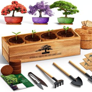 LUOJIBIE Bonsai Tree Kit Wood-0