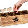LUOJIBIE Bonsai Tree Kit Wood-3