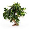 Costa Farms Bonsai Ceramic Pot Indoor Air Purifier-2
