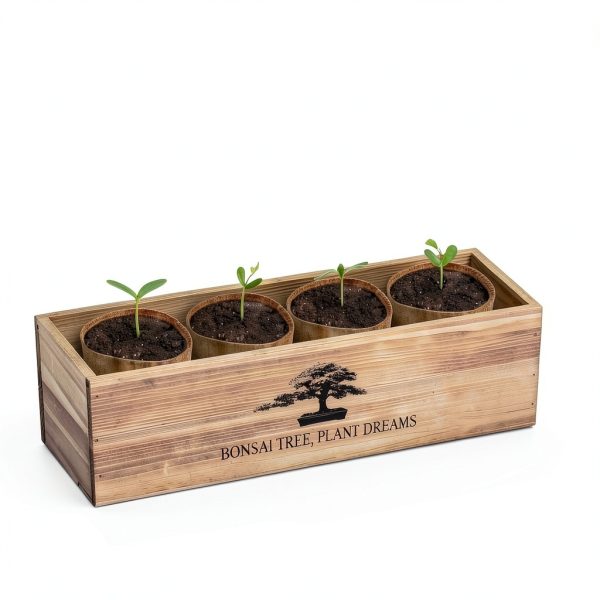 LUOJIBIE Bonsai Tree Kit Wood-6