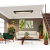 Money Tree Plant Costa Farms Indoor Flower Pot-8