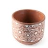 Costa Farms Bonsai Ceramic Pot Indoor Air Purifier-6