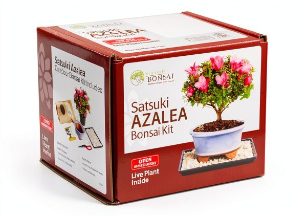 Brussel's Bonsai Satsuki Azalea Ceramic Pot Small-1